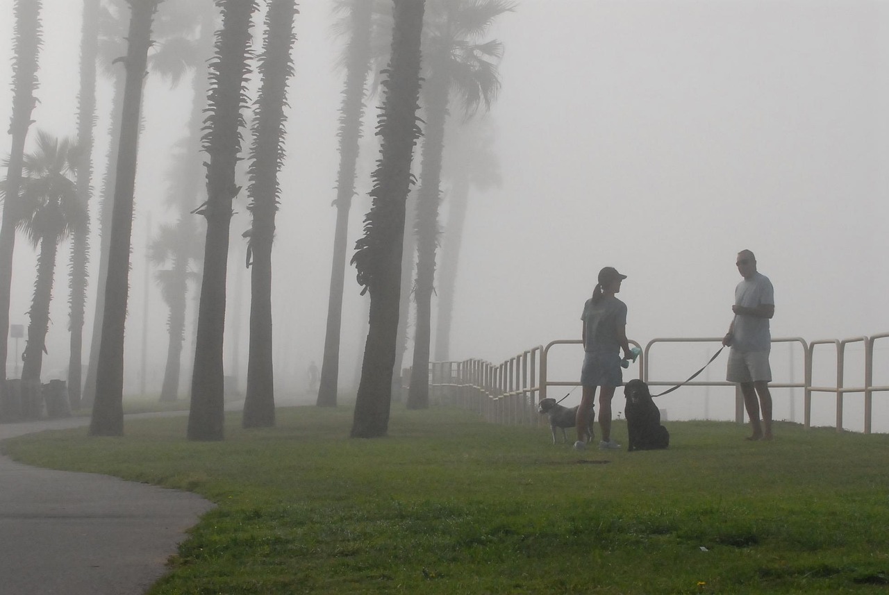 A Coastal Photography Walk: Planning a Day That Actually Works