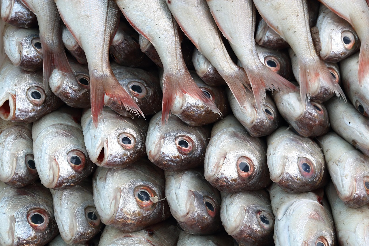 Eating Your Way Along a Working Harbour